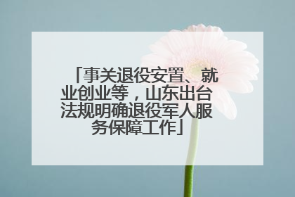 事关退役安置、就业创业等，山东出台法规明确退役军人服务保障工作