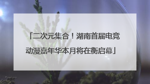 二次元集合！湖南首届电竞动漫嘉年华本月将在衡启幕