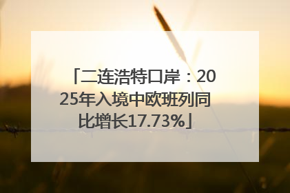 二连浩特口岸：2025年入境中欧班列同比增长17.73%