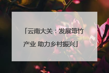 云南大关：发展筇竹产业 助力乡村振兴