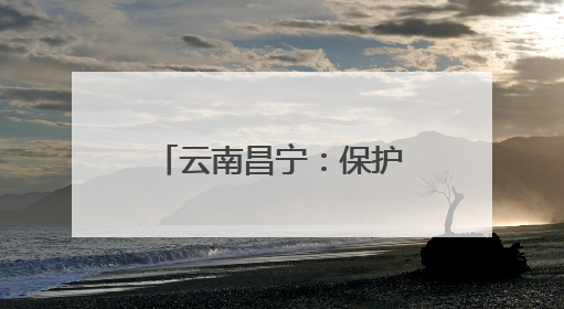 云南昌宁：保护区内珍稀野生动物频频“出镜”