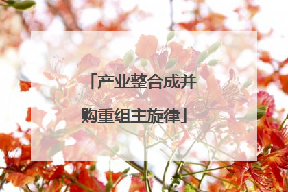 产业整合成并购重组主旋律