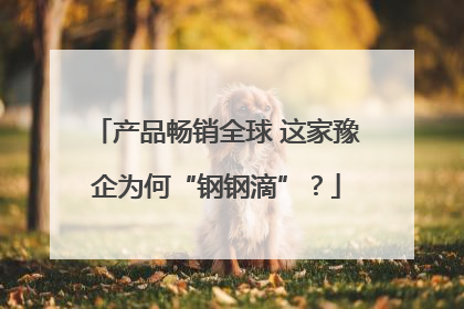 产品畅销全球 这家豫企为何“钢钢滴”？