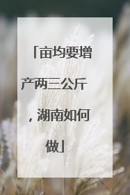 亩均要增产两三公斤，湖南如何做