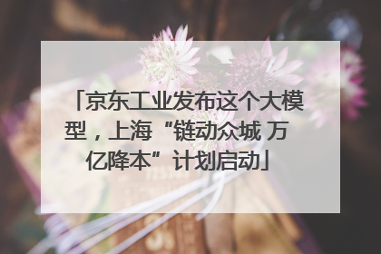 京东工业发布这个大模型，上海“链动众城 万亿降本”计划启动