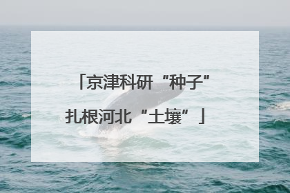 京津科研“种子”扎根河北“土壤”