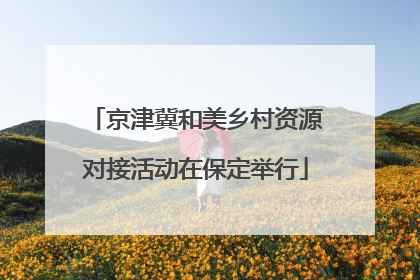 京津冀和美乡村资源对接活动在保定举行