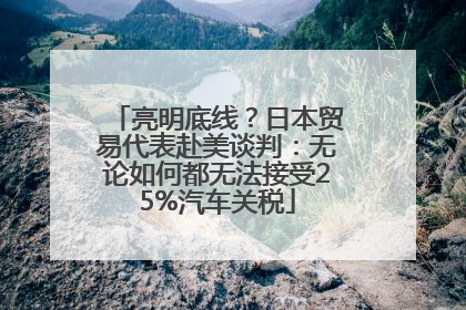 亮明底线？日本贸易代表赴美谈判：无论如何都无法接受25%汽车关税