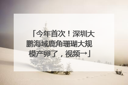 今年首次！深圳大鹏海域鹿角珊瑚大规模产卵了，视频→
