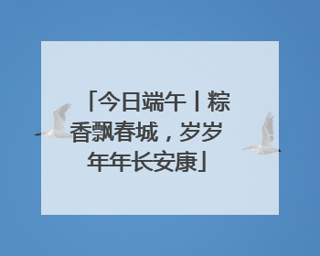 今日端午丨粽香飘春城，岁岁年年长安康