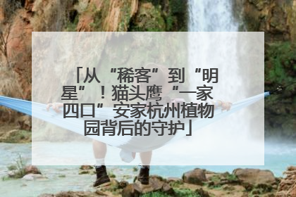 从“稀客”到“明星”！猫头鹰“一家四口”安家杭州植物园背后的守护