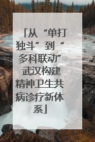 从“单打独斗”到“多科联动” 武汉构建精神卫生共病诊疗新体系