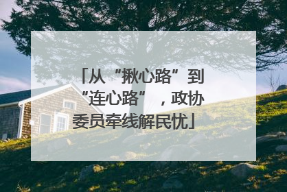 从“揪心路”到“连心路”，政协委员牵线解民忧