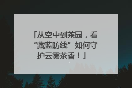 从空中到茶园，看“藏蓝防线”如何守护云雾茶香！