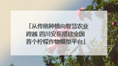从传统种植向智慧农业跨越 四川安岳搭建全国首个柠檬作物模型平台