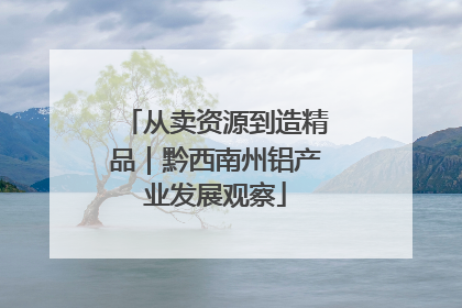 从卖资源到造精品｜黔西南州铝产业发展观察