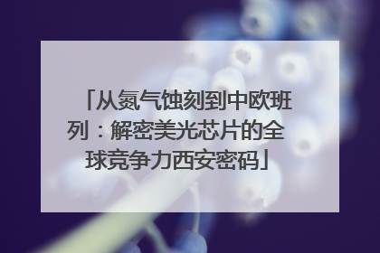 从氮气蚀刻到中欧班列：解密美光芯片的全球竞争力西安密码