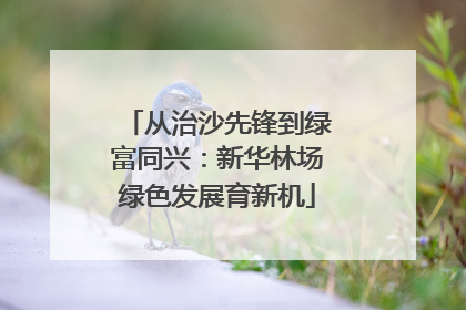 从治沙先锋到绿富同兴：新华林场绿色发展育新机