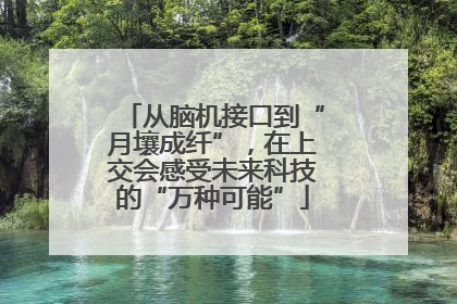 从脑机接口到“月壤成纤”，在上交会感受未来科技的“万种可能”