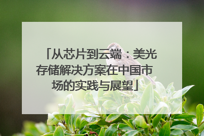 从芯片到云端：美光存储解决方案在中国市场的实践与展望