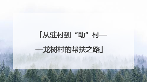从驻村到“助”村——龙树村的帮扶之路