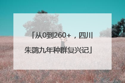 从0到260+，四川朱鹮九年种群复兴记
