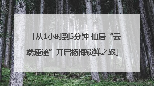 从1小时到5分钟 仙居“云端速递”开启杨梅锁鲜之旅