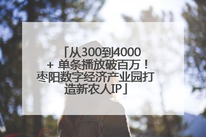从300到4000+ 单条播放破百万！枣阳数字经济产业园打造新农人IP