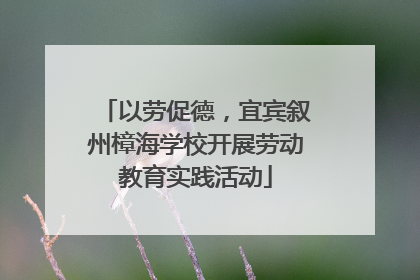 以劳促德，宜宾叙州樟海学校开展劳动教育实践活动