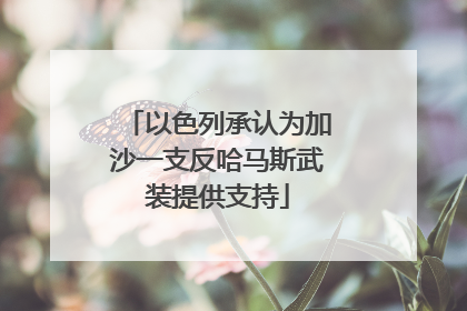 以色列承认为加沙一支反哈马斯武装提供支持