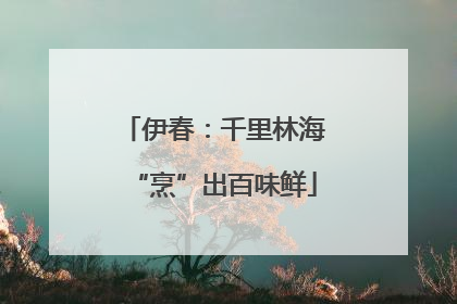 伊春：千里林海“烹”出百味鲜