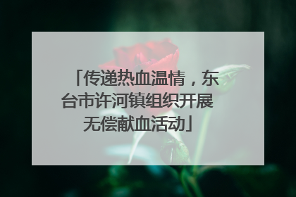 传递热血温情，东台市许河镇组织开展无偿献血活动