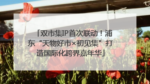 双市集IP首次联动！浦东“天物好市×初见集”打造国际化跨界嘉年华