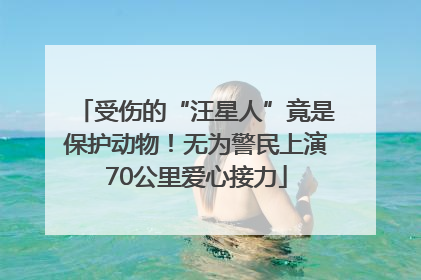 受伤的“汪星人”竟是保护动物！无为警民上演70公里爱心接力