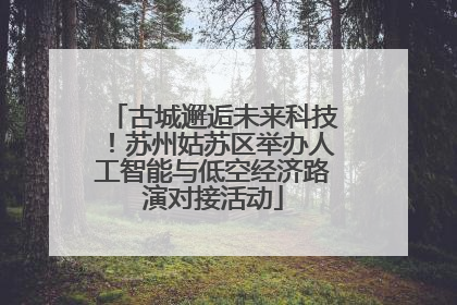 古城邂逅未来科技！苏州姑苏区举办人工智能与低空经济路演对接活动