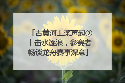 古黄河上桨声起②丨击水逐浪，参赛者畅谈龙舟赛事深意