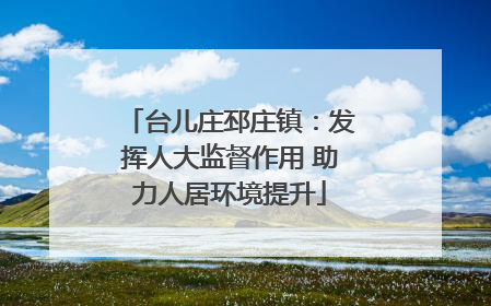 台儿庄邳庄镇：发挥人大监督作用 助力人居环境提升