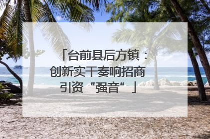 台前县后方镇：创新实干奏响招商引资“强音”