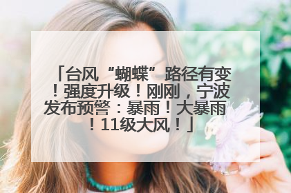 台风“蝴蝶”路径有变！强度升级！刚刚，宁波发布预警：暴雨！大暴雨！11级大风！