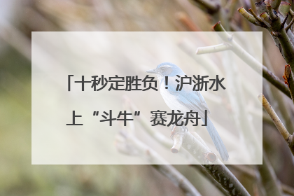十秒定胜负！沪浙水上“斗牛”赛龙舟