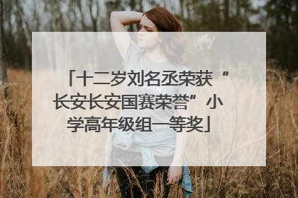 十二岁刘名丞荣获“长安长安国赛荣誉”小学高年级组一等奖
