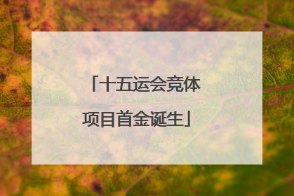 十五运会竞体项目首金诞生