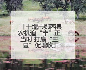 十堰市郧西县农机追“丰”正当时 打赢“三夏”促增收