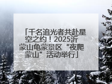 千名追光者共赴星空之约！2025沂蒙山龟蒙景区“夜爬蒙山”活动举行