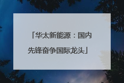 华太新能源：国内先锋奋争国际龙头