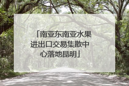 南亚东南亚水果进出口交易集散中心落地昆明