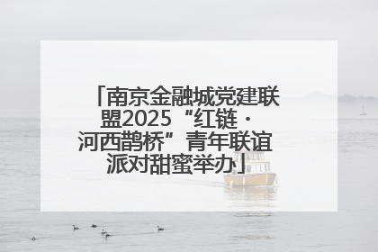 南京金融城党建联盟2025“红链・河西鹊桥”青年联谊派对甜蜜举办