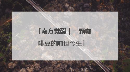 南方觉醒｜一颗咖啡豆的前世今生
