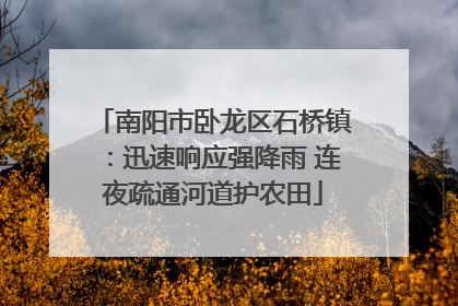 南阳市卧龙区石桥镇：迅速响应强降雨 连夜疏通河道护农田