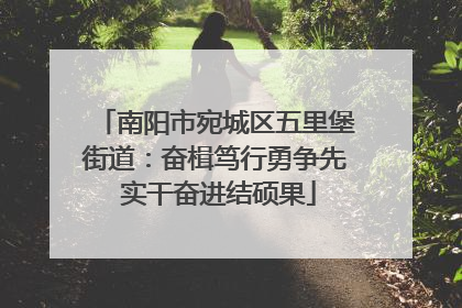南阳市宛城区五里堡街道：奋楫笃行勇争先 实干奋进结硕果